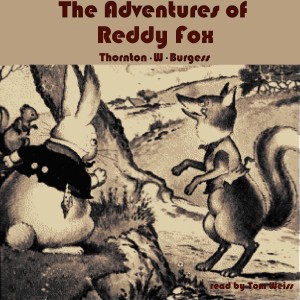 Artwork The Adventures of Reddy Fox