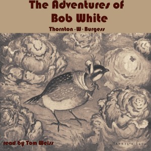 The Adventures of Bob White cover