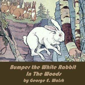 Bumper the White Rabbit in the Woods