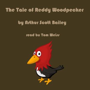 The Tale of Reddy Woodpecker