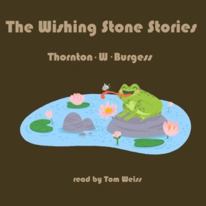The Wishing Stone Stories by Thornton W Burgess