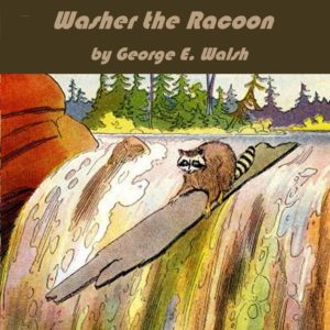 Washer the Raccoon by George Walsh